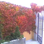 Casa Del Portalon Σπίτι διακοπών Ituero y Lama